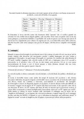 I PALLINI DA CACCIA ( LA ROSATA )-Page-09.jpg