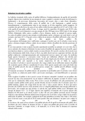 I PALLINI DA CACCIA ( LA ROSATA )-Page-08.jpg