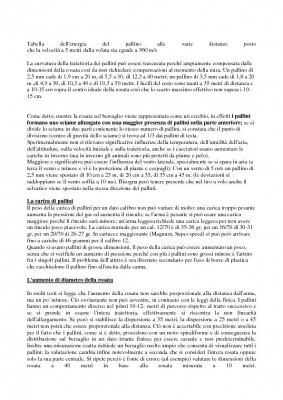 I PALLINI DA CACCIA ( LA ROSATA )-Page-04.jpg