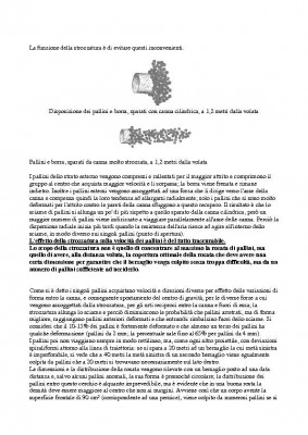 I PALLINI DA CACCIA ( LA ROSATA )-Page-02.jpg