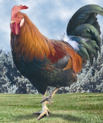 esterno_pieghevoli_copia.jpg